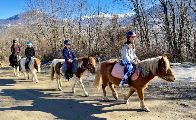 Photo séjour Ski & équitation