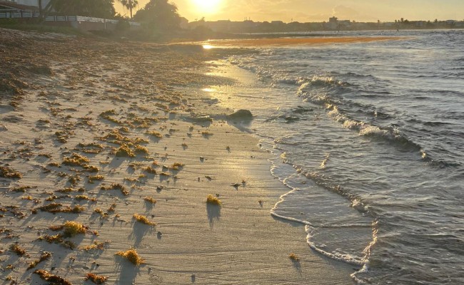 Photo séjour Guadeloupe Sensations