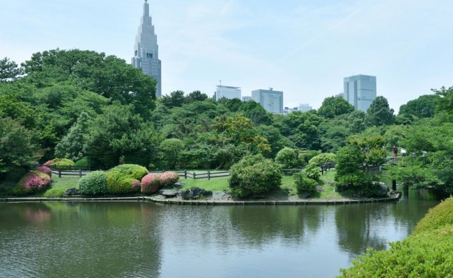 Photo séjour Escapade à Tokyo