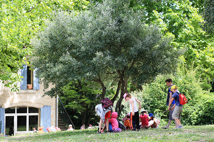 colo été à Biabaux